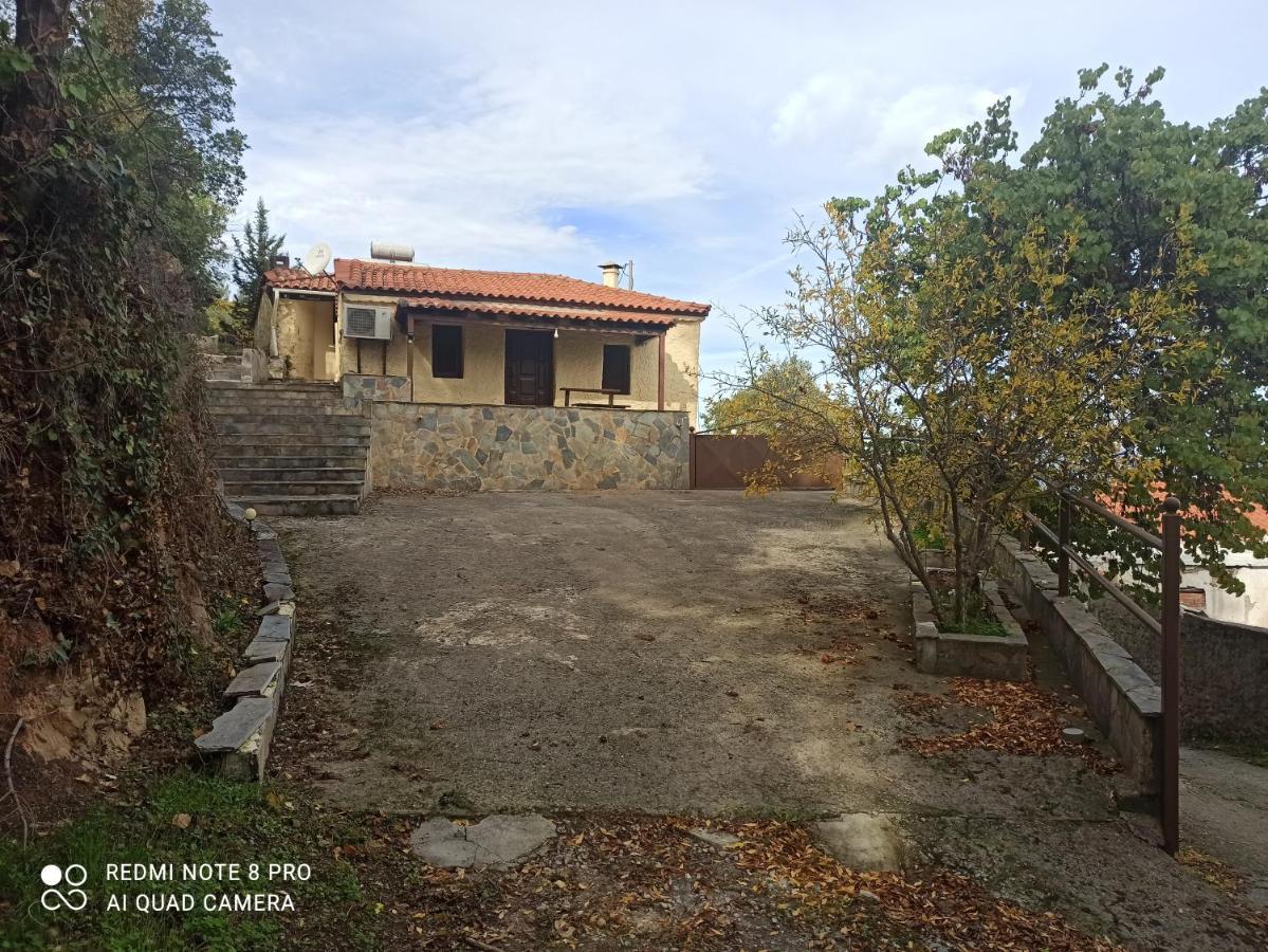 Forestrock Studio For Sale Too Sparta Bagian luar foto